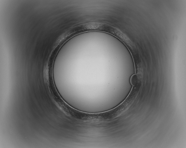 X0000114230626200910161611