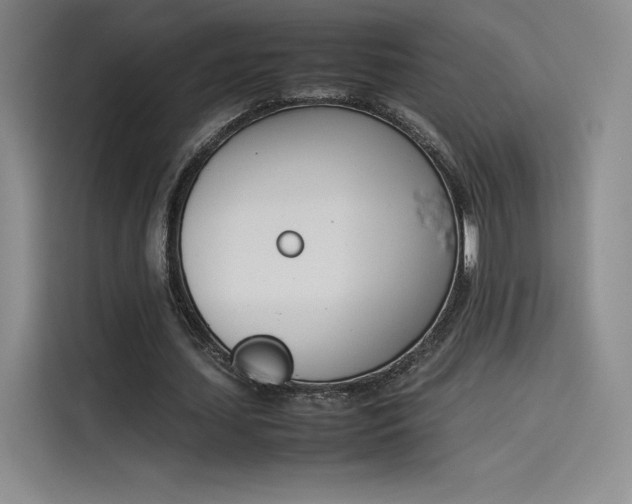 X0000114230627200910161611