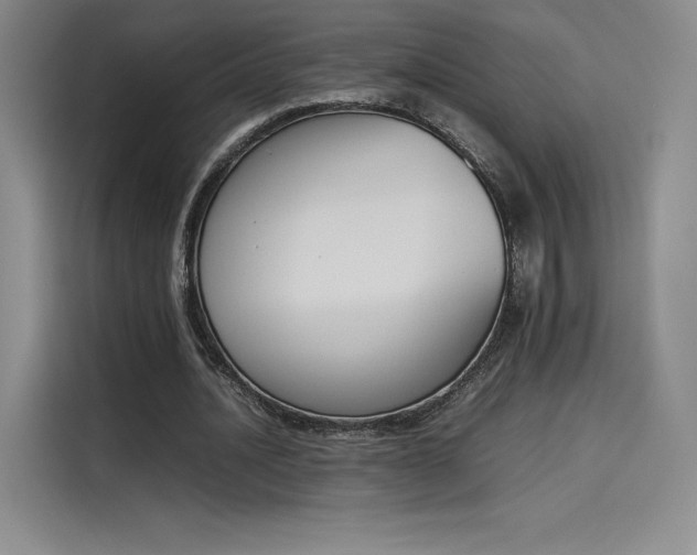 X0000114230628200910161612