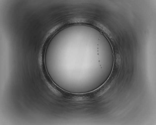 X0000114230629200910161612