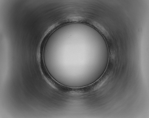 X0000114230630200910161612