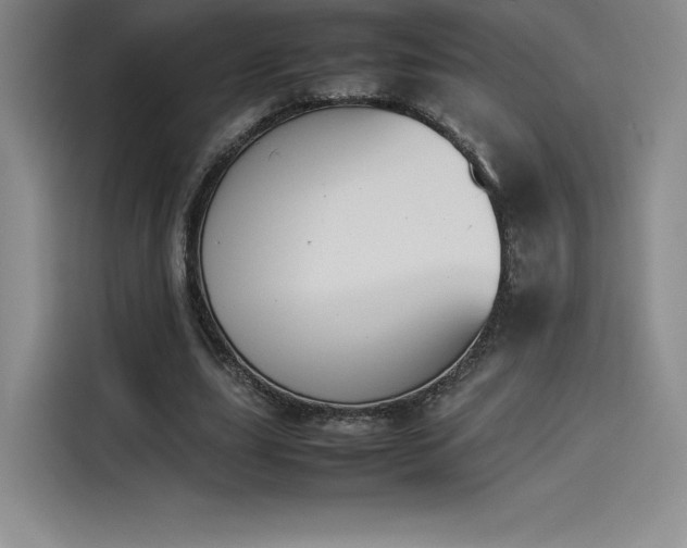 X0000114230631200910161612