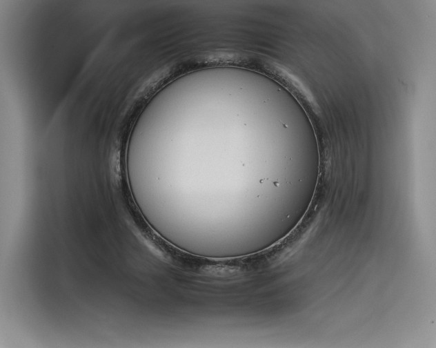 X0000114230633200910161612