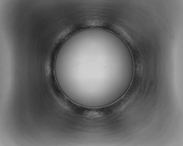 X0000114230635200910161612
