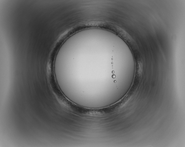 X0000114230636200910161612