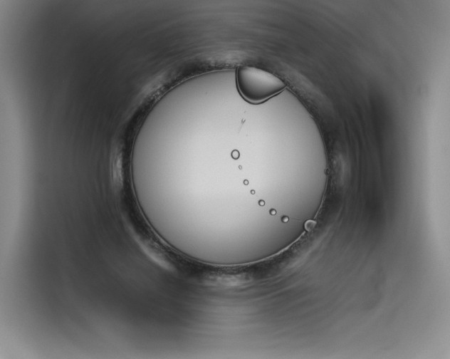X0000114230638200910161612