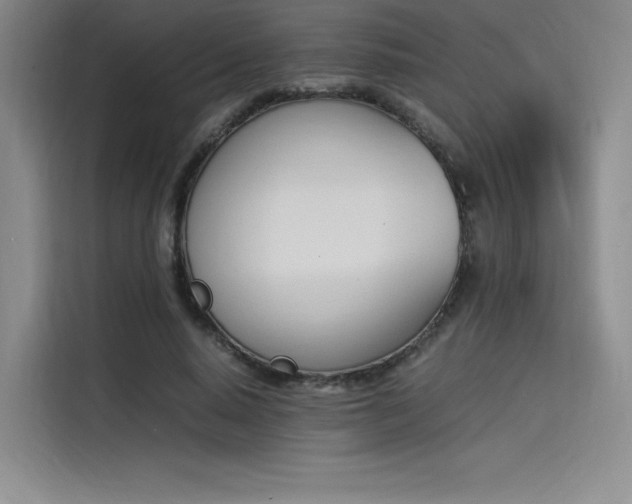 X0000114230640200910161612