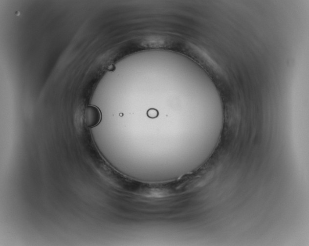 X0000114230645200910161612