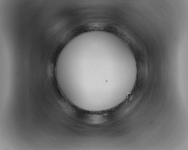 X0000114230649200910161612
