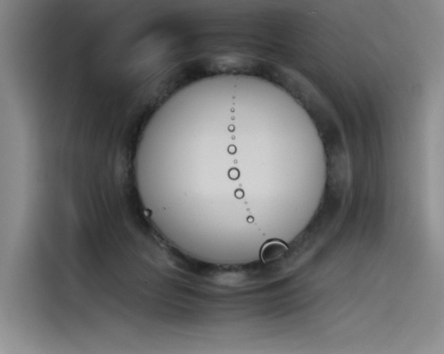 X0000114230653200910161612