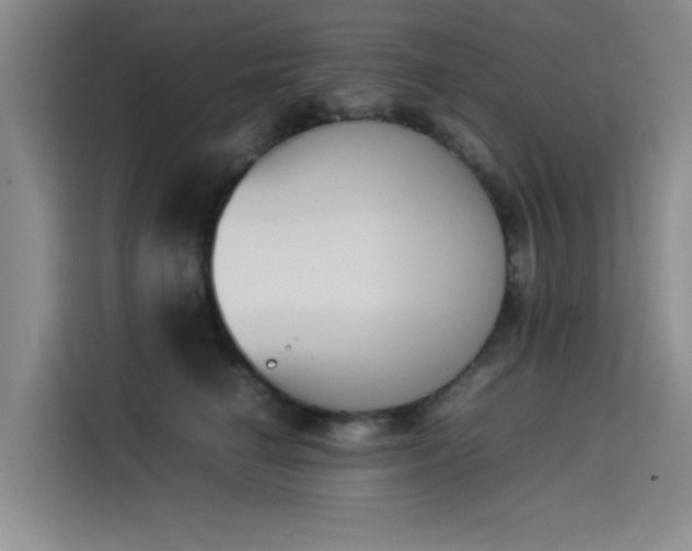 X0000114230662200910161612
