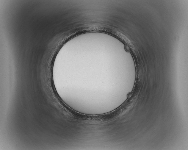 X0000114230673200910161611