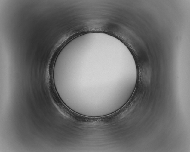 X0000114230674200910161611