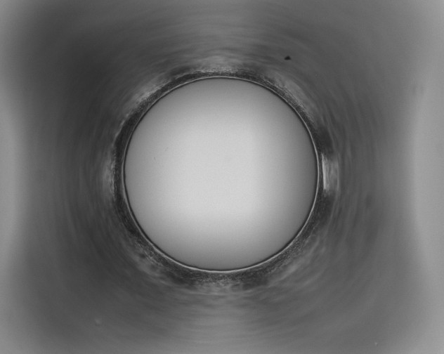 X0000114230675200910161611