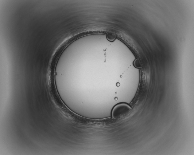 X0000114230676200910161611
