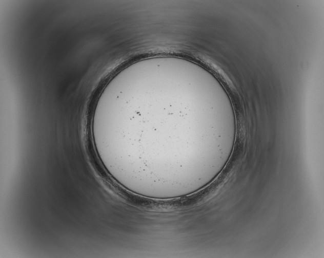 X0000114230677200910161611