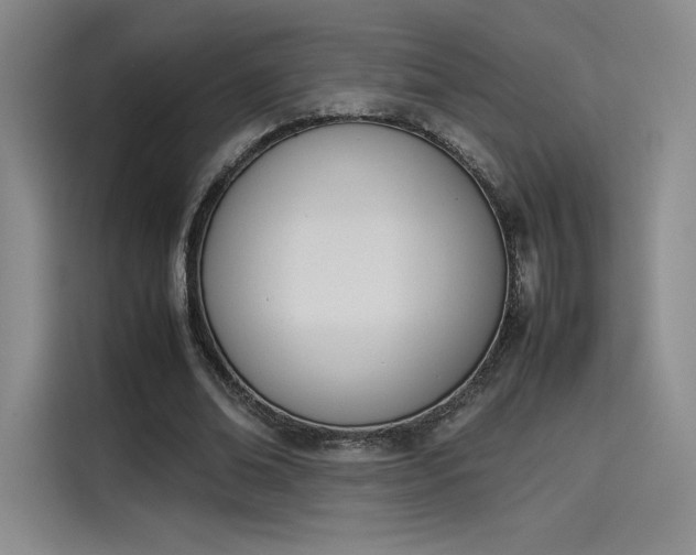 X0000114230678200910161611
