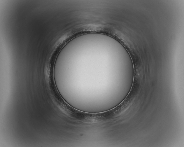 X0000114230679200910161611