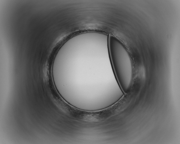 X0000114230680200910161611