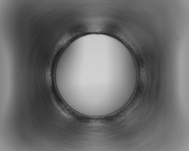 X0000114230682200910161611