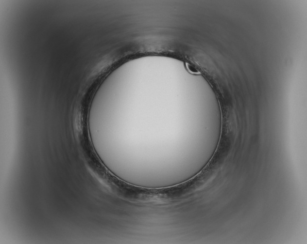 X0000114230683200910161611
