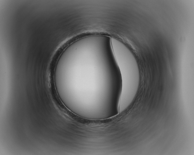 X0000114230684200910161611