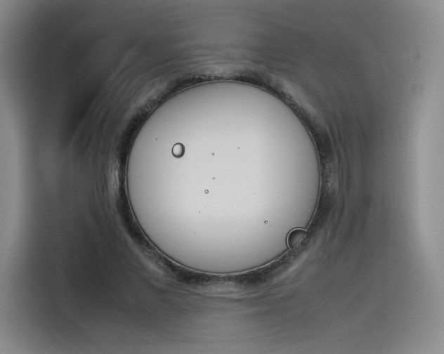 X0000114230685200910161611