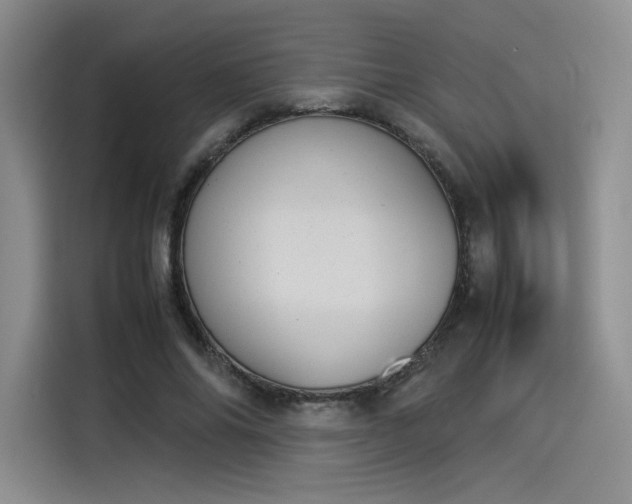 X0000114230686200910161611