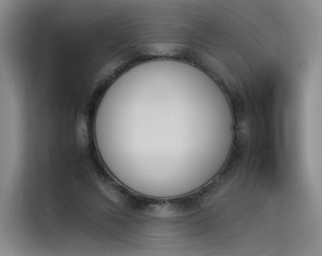 X0000114230688200910161611