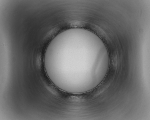 X0000114230690200910161611