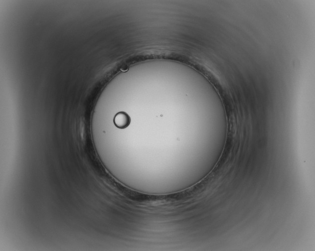 X0000114230692200910161611