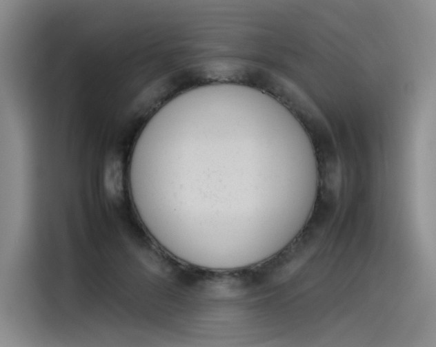 X0000114230696200910161611