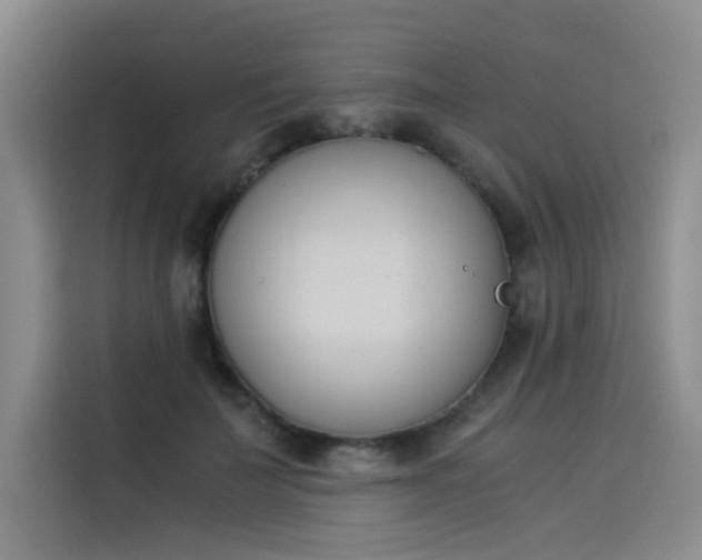 X0000114230699200910161611