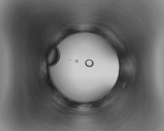 X0000114230700200910161611