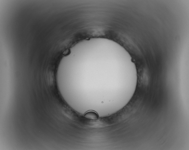 X0000114230704200910161611