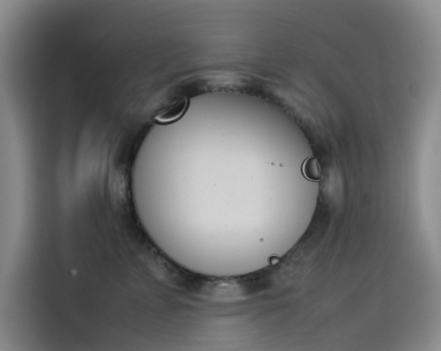 X0000114230715200910161611