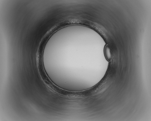 X0000114230722200910161610