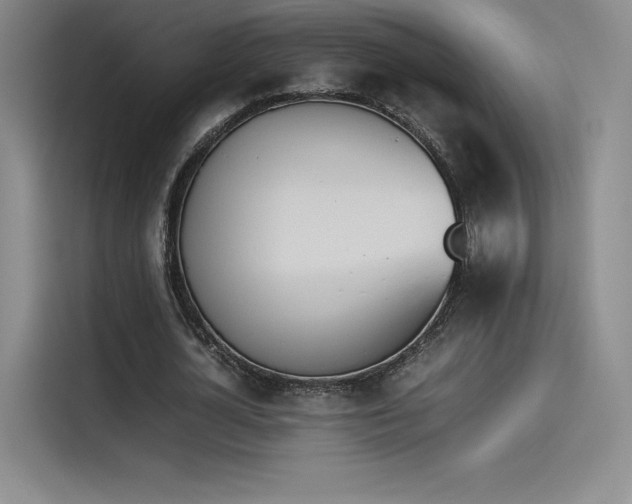 X0000114230724200910161610
