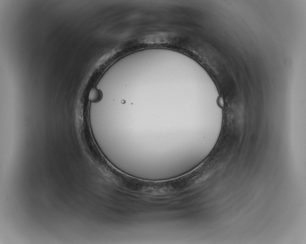 X0000114230727200910161610