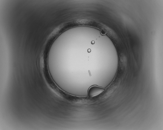 X0000114230734200910161610