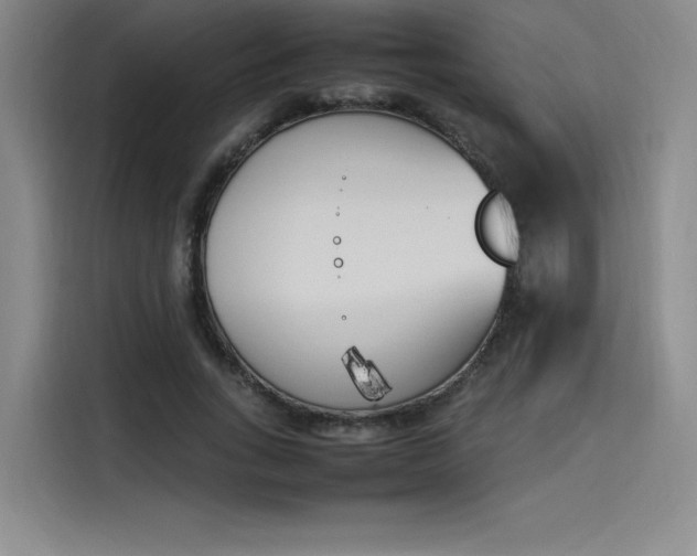 X0000114230735200910161610