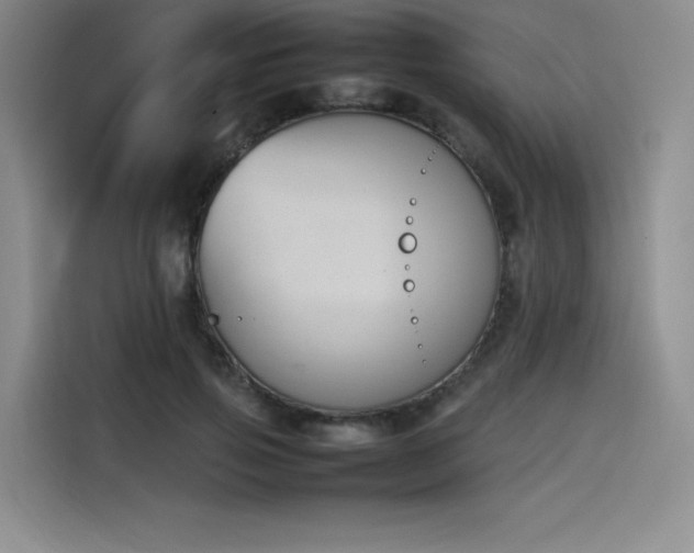 X0000114230741200910161610
