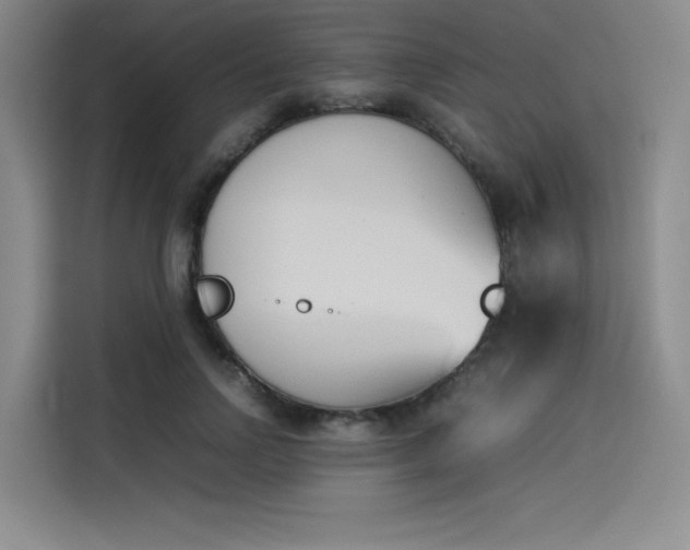 X0000114230742200910161610