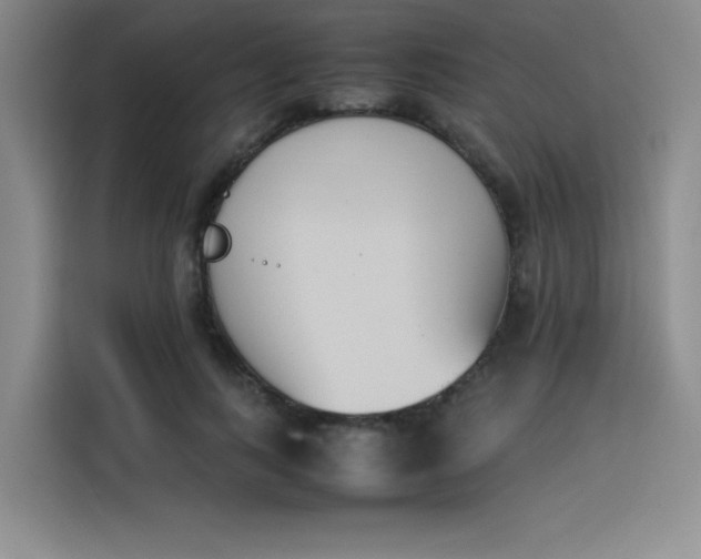 X0000114230743200910161610