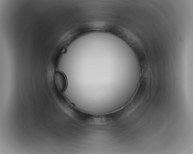 X0000114230744200910161610