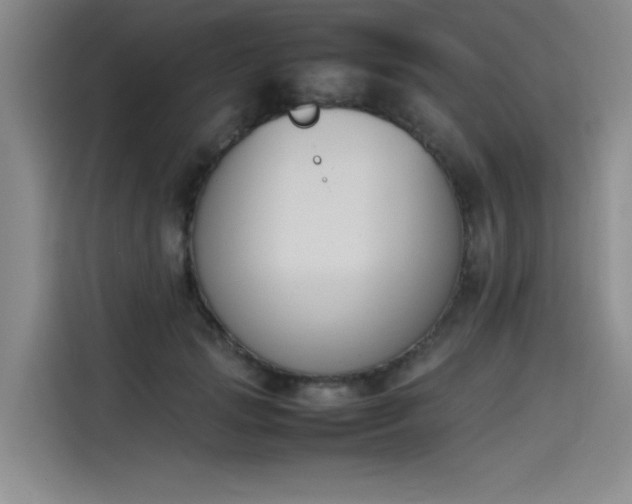 X0000114230749200910161610