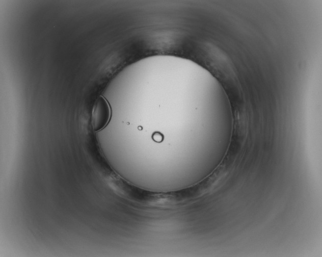 X0000114230750200910161610