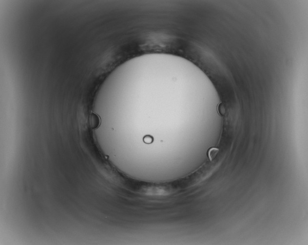X0000114230751200910161610