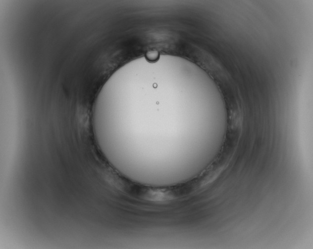 X0000114230753200910161611