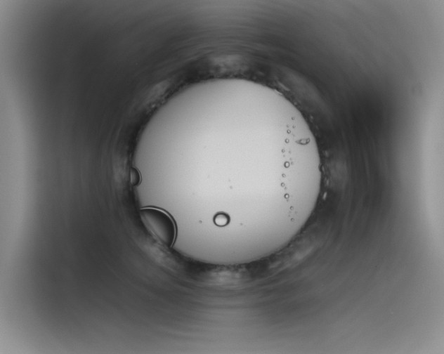X0000114230756200910161611